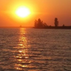 Meet your Posher, Bertha